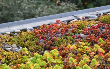 the cost of Foxcote green roof installation