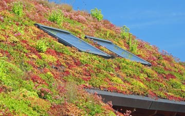 Foxcote living roof systems